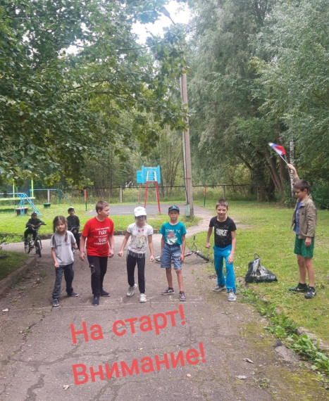 День физкультурника.